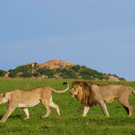 Nkomazi Game Reserve By Newmark Badplaas Luaran gambar