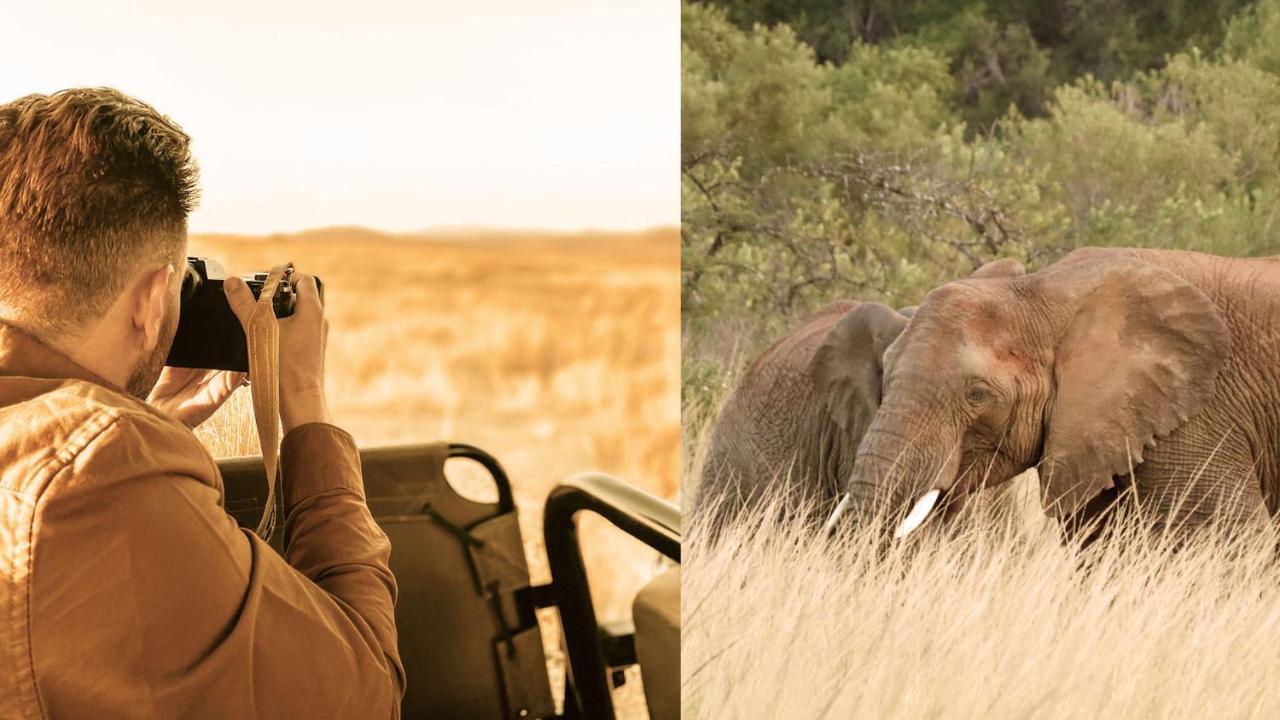 Nkomazi Game Reserve By Newmark Badplaas Luaran gambar