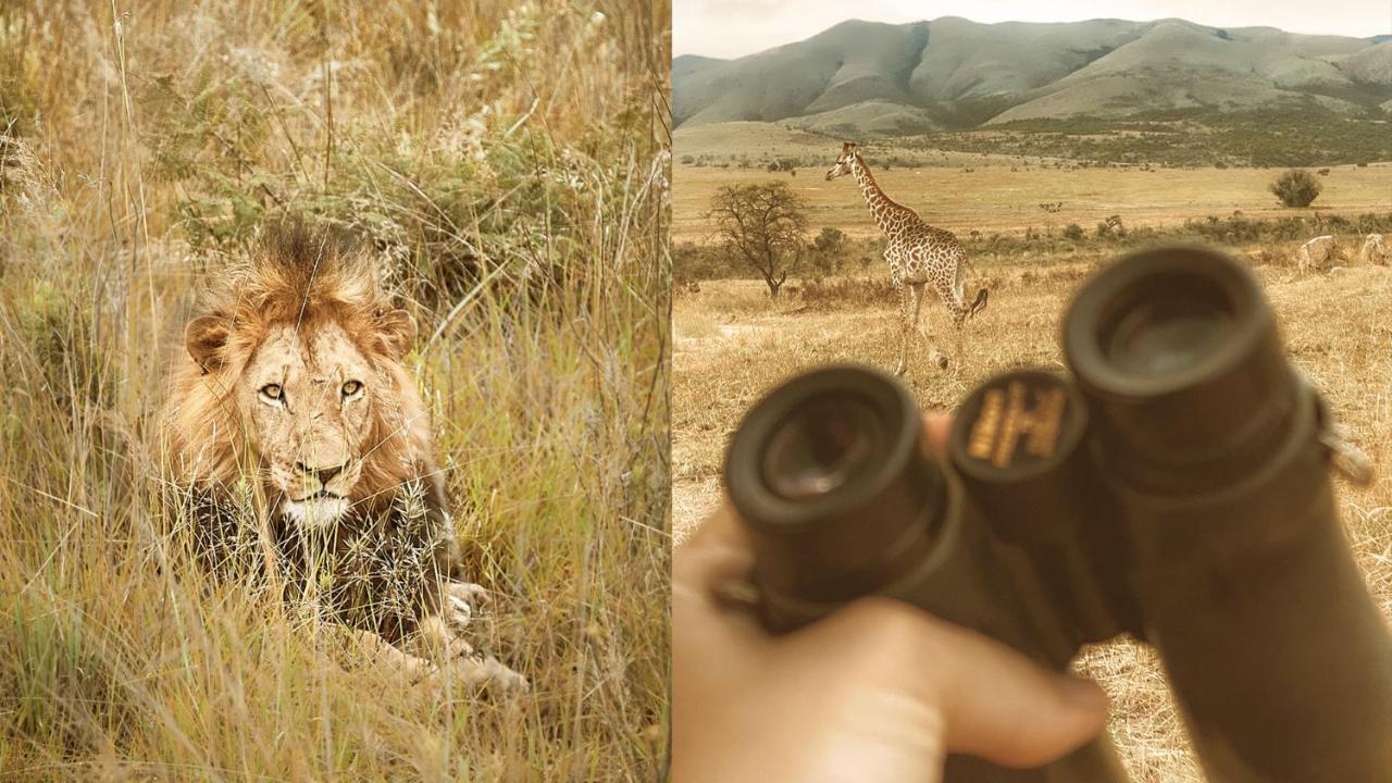 Nkomazi Game Reserve By Newmark Badplaas Luaran gambar