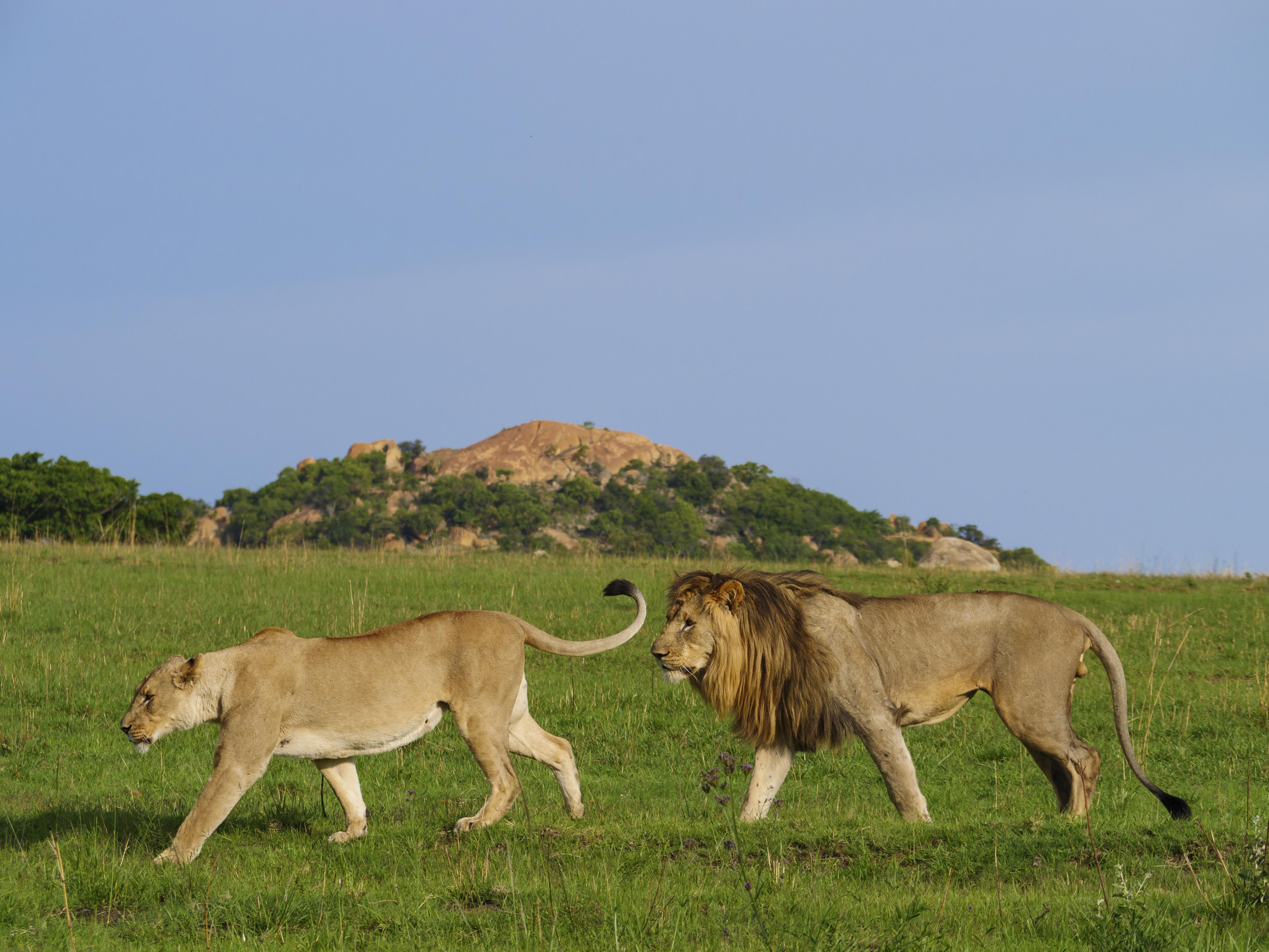 Nkomazi Game Reserve By Newmark Badplaas Luaran gambar